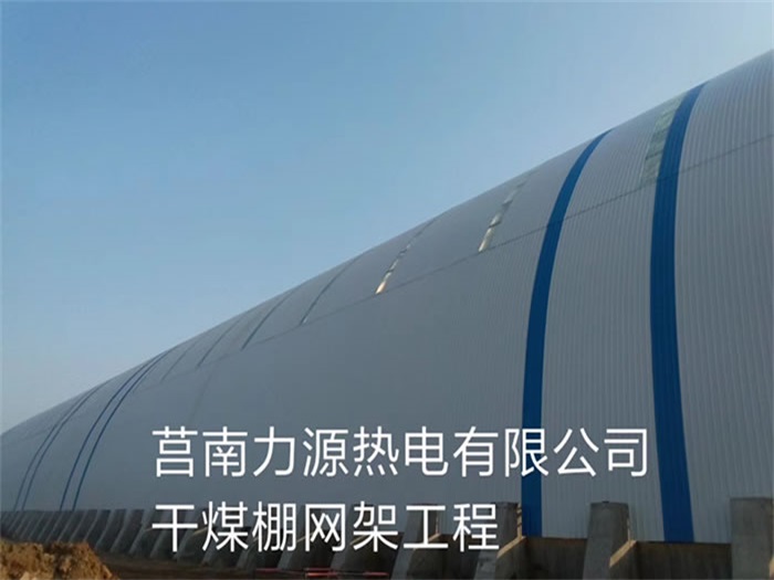 岳阳力源热电有限公司干煤棚网架工程